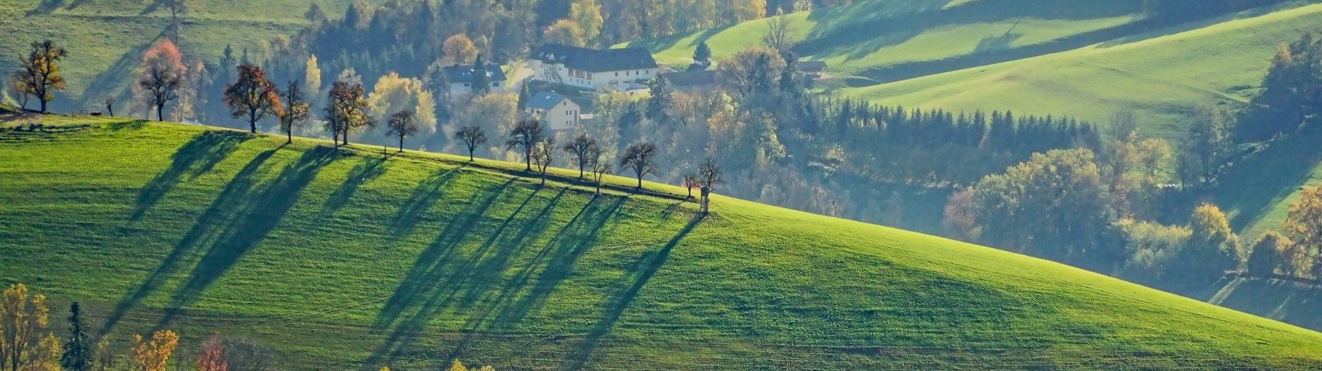 Quiz Les Espaces De Faible Densité Et Leurs Atouts 3e2 - Les espaces de faible densité et leurs atouts