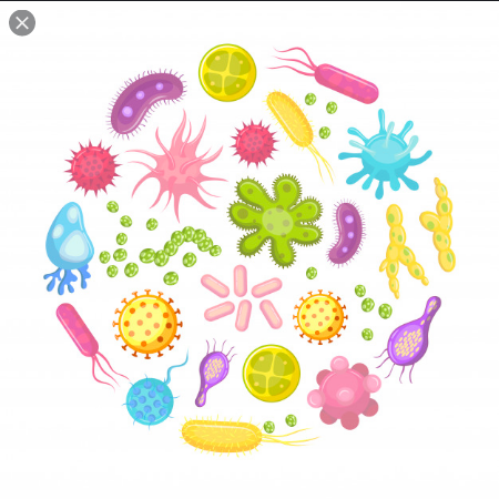 2 Agents Pat By Beaussier Mayans On Genially