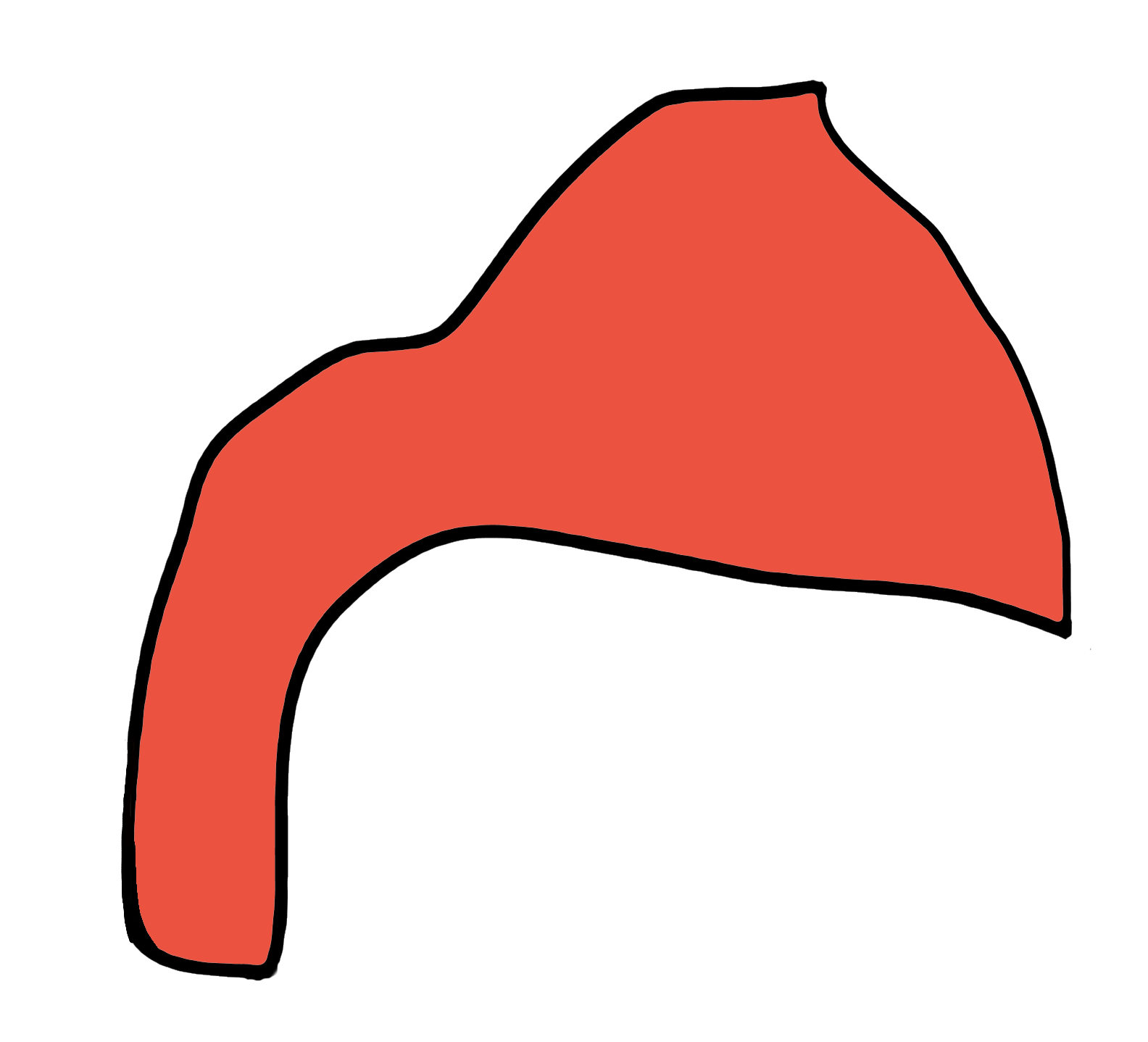 parts-of-a-flower